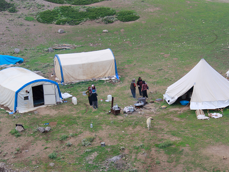 Tunceli de yayla ve meralar göçerleri ağırlıyor Genel Tarım TV