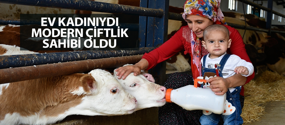 Ev kadınıydı modern çiftlik sahibi oldu