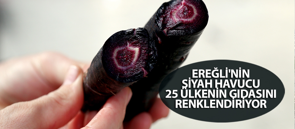 Ereğli'nin siyah havucu 25 ülkenin gıdasını renklendiriyor