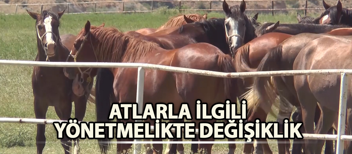 Atlarla ilgili yönetmelikte değişiklik