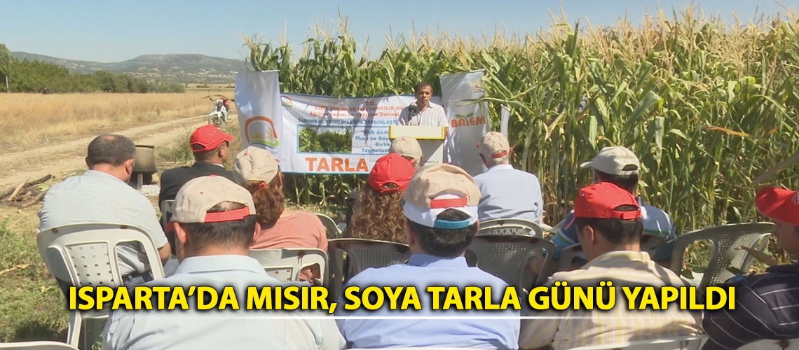 Silajlık mısır ve soya ekimi yaygınlaşıyor