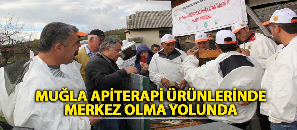 Muğla apiterapi ürünlerinde merkez olma yolunda