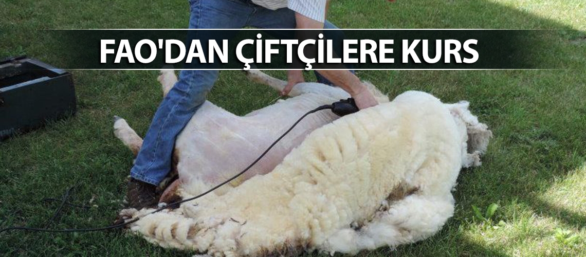 FAO'dan çiftçilere kurs