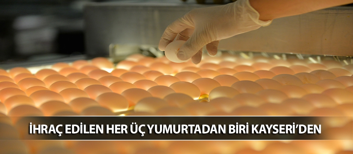 İhraç edilen her üç yumurtadan biri Kayseri’den