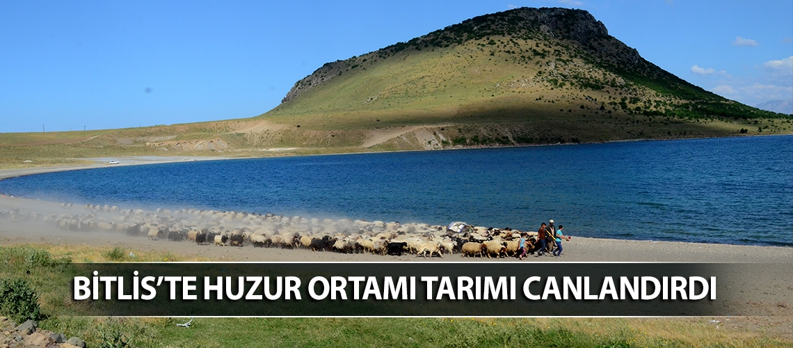 Bitlis’te huzur ortamı tarımı canlandırdı