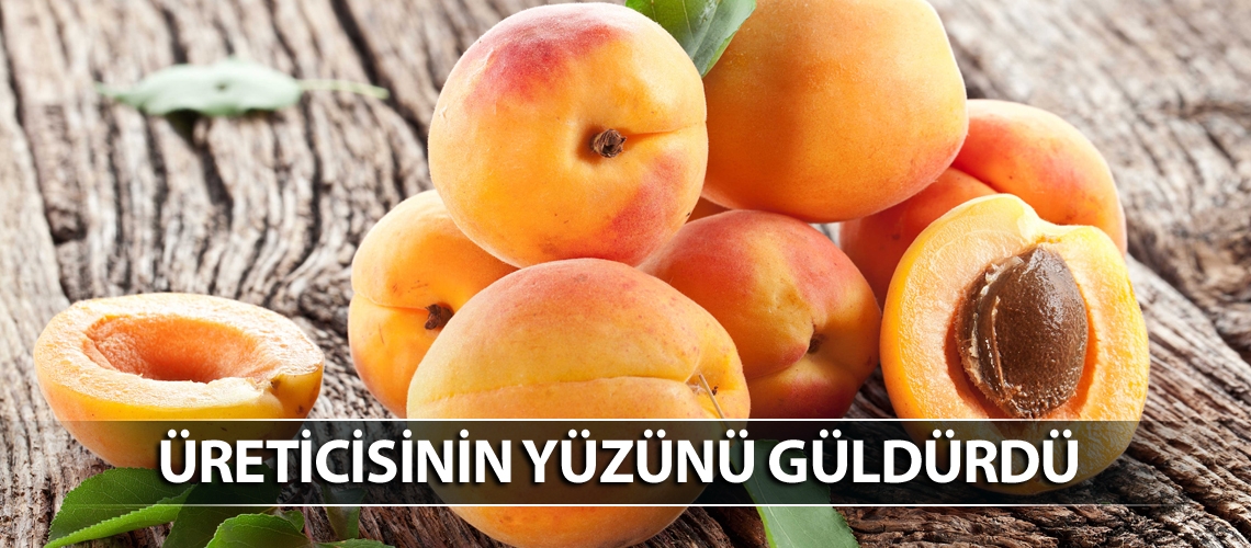 Üreticisinin yüzünü güldürdü