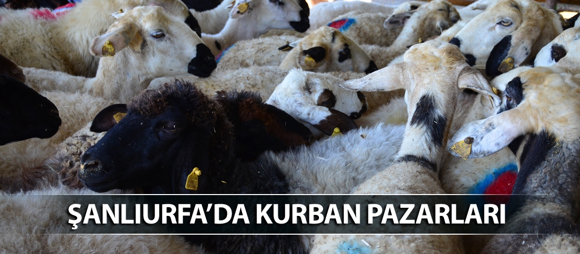 Şanlıurfa’da kurban pazarları