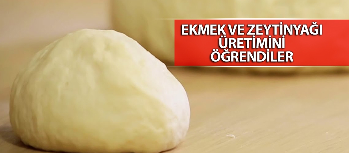 Ekmek ve zeytinyağı üretimini öğrendiler