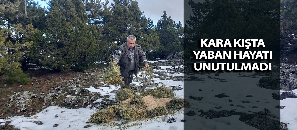 Kara kışta yaban hayatı unutulmadı