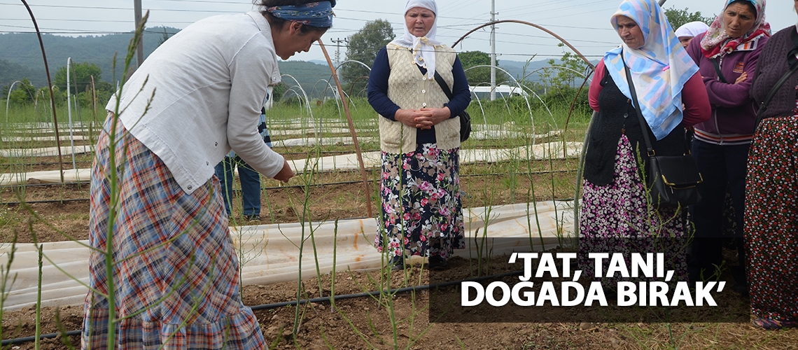 ‘Tat, Tanı, Doğada Bırak’