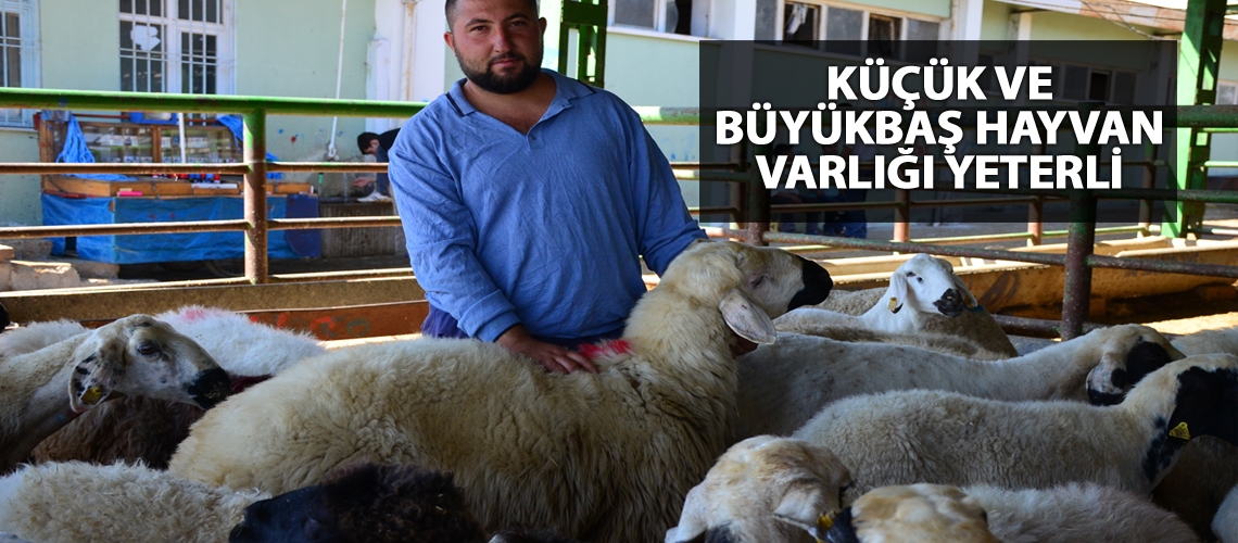 Küçük ve büyükbaş hayvan varlığı yeterli