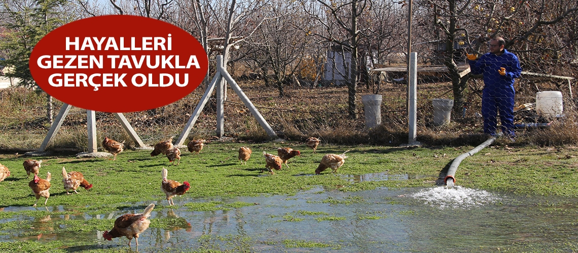 Hayalleri gezen tavukla gerçek oldu