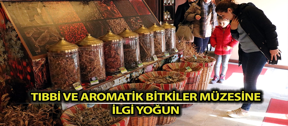 Tıbbi ve aromatik bitkiler  müzesine ilgi yoğun