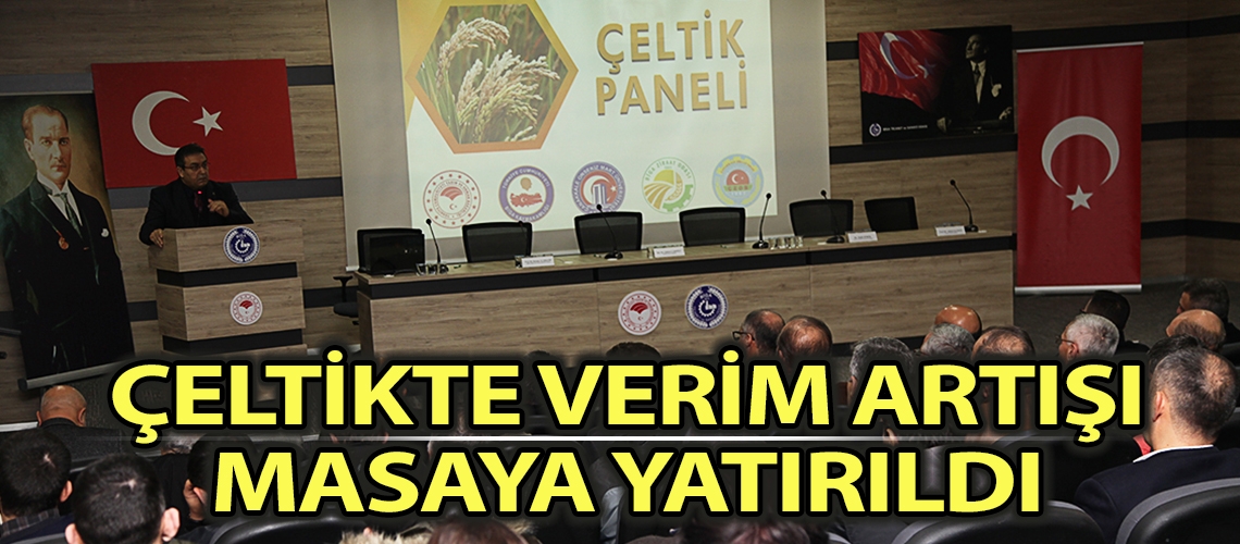 Çeltikte verim artışı masaya yatırıldı