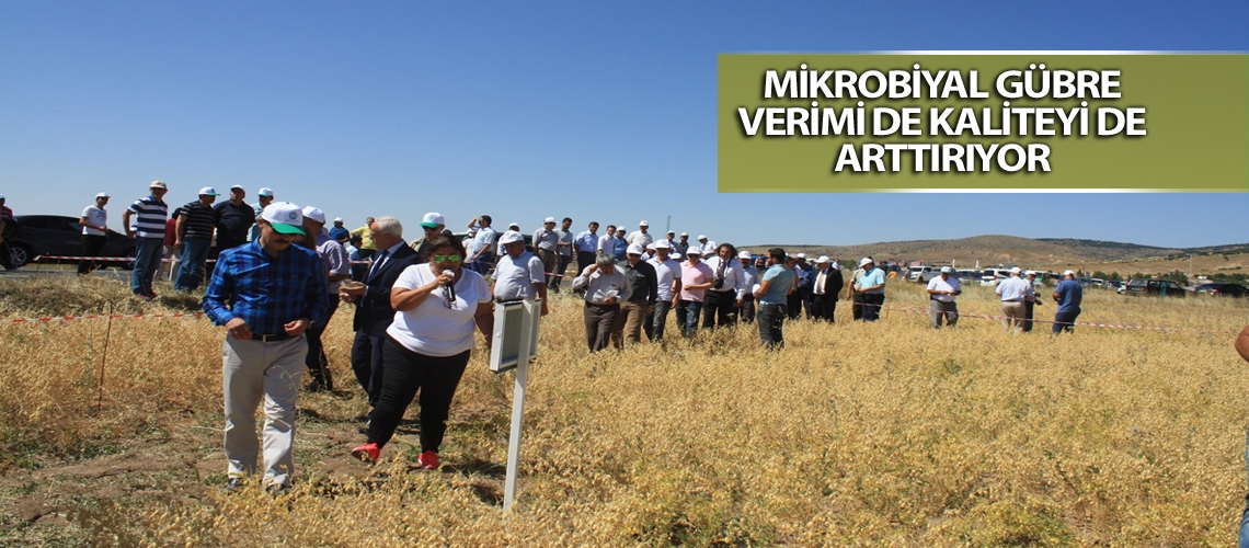 Mikrobiyal gübre verimi de kaliteyi de arttırıyor