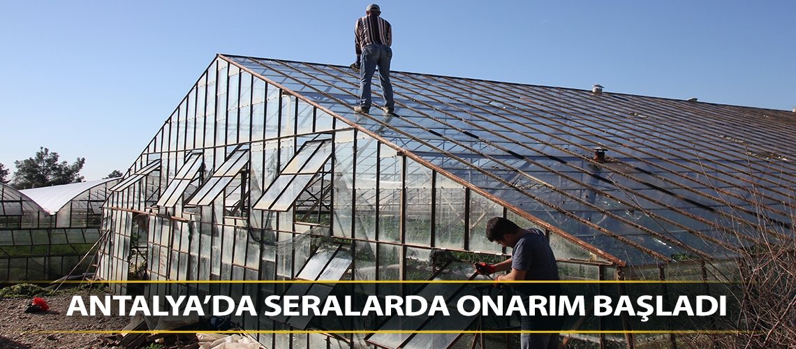 Antalya’da seralarda onarım başladı