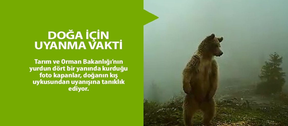 Doğa için uyanma vakti