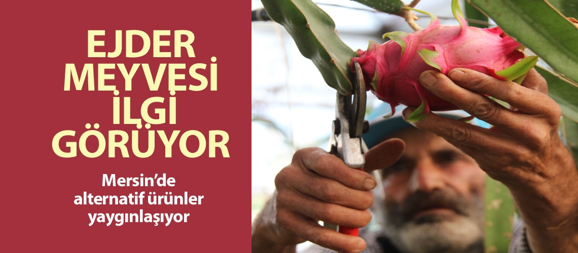 Mersin’de alternatif ürünler yaygınlaşıyor