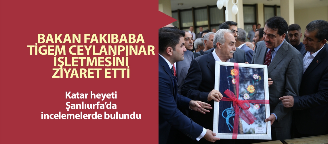 Katar heyeti Şanlıurfa’da incelemelerde bulundu