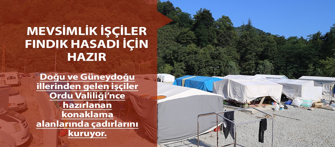 Mevsimlik işçiler fındık hasadı için hazır