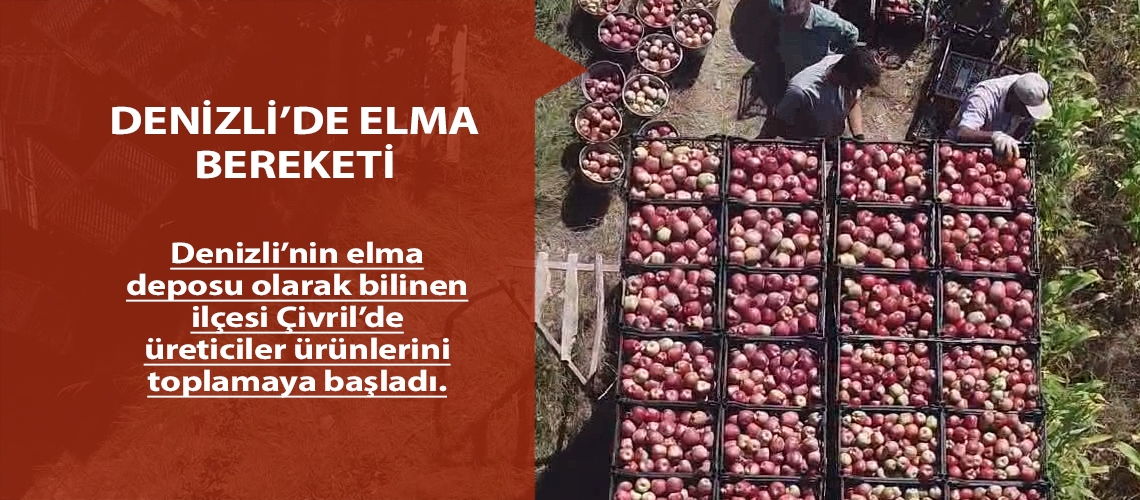 Denizli’de elma bereketi.