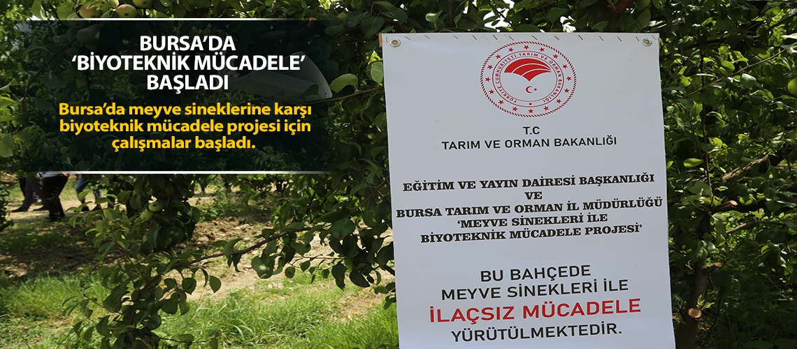 Bursa’da ‘biyoteknik mücadele’ başladı