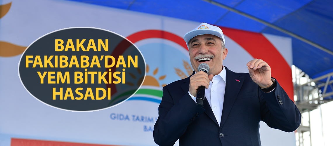 Bakan Fakıbaba’dan yem bitkisi hasadı