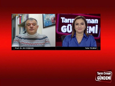 Tarım Orman Gündemi 17.12.2024