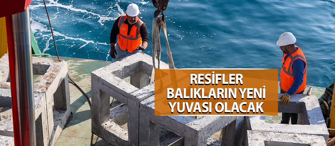 Resifler balıkların yeni yuvası olacak