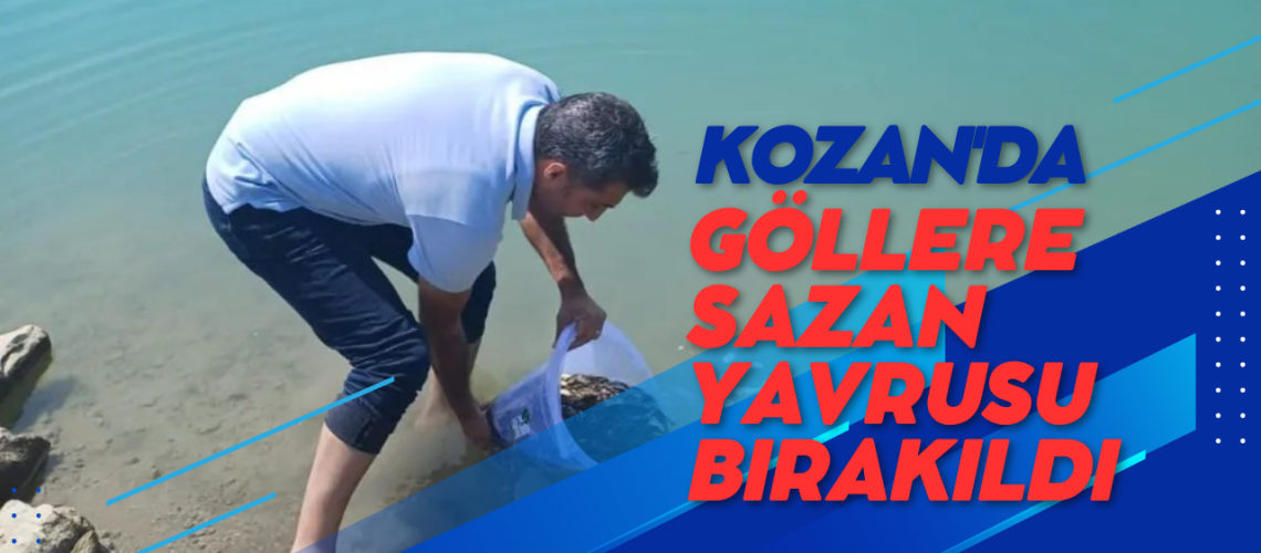 Kozan'da göllere sazan yavrusu bırakıldı