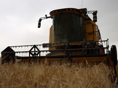 Adıyaman'da sezonun ilk arpa hasadı yapıldı