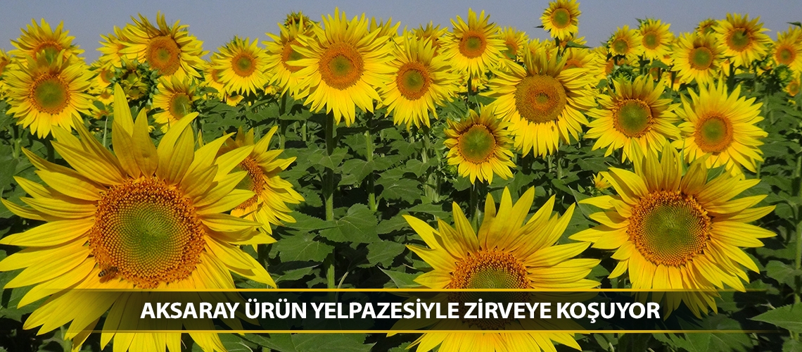 Aksaray ürün yelpazesiyle zirveye koşuyor