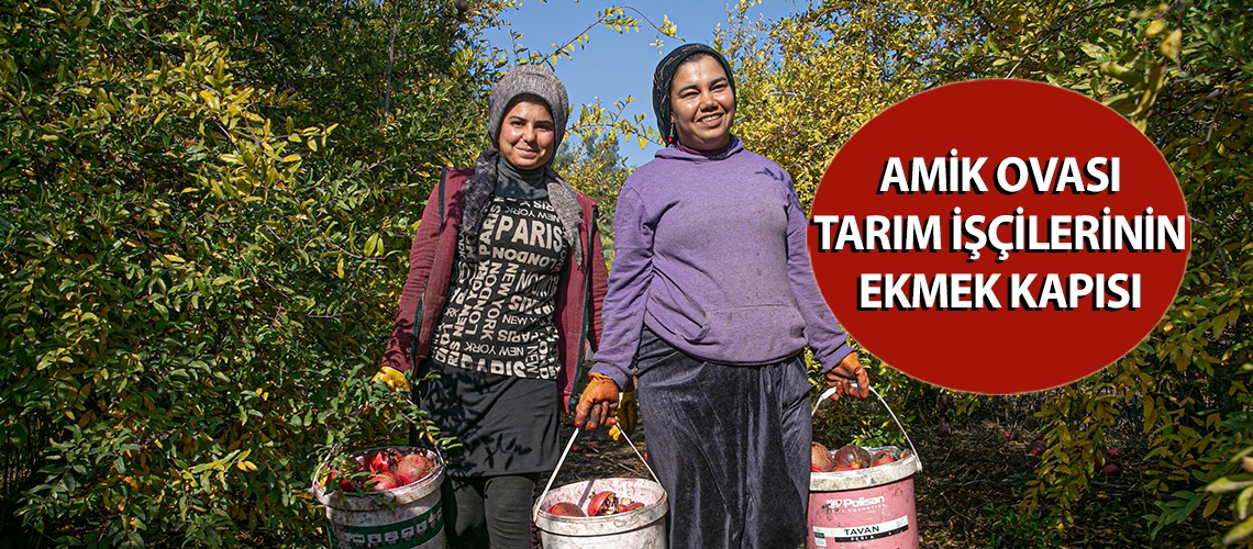 Amik Ovası tarım işçilerinin ekmek kapısı