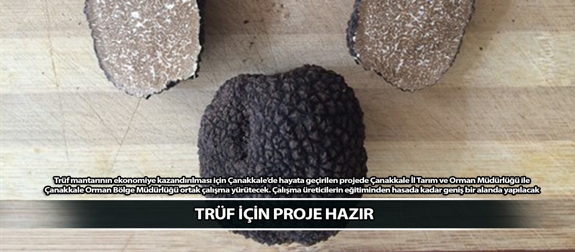 Trüf için proje hazır