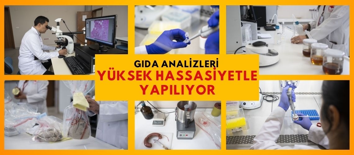 Gıda analizleri yüksek hassasiyetle yapılıyor