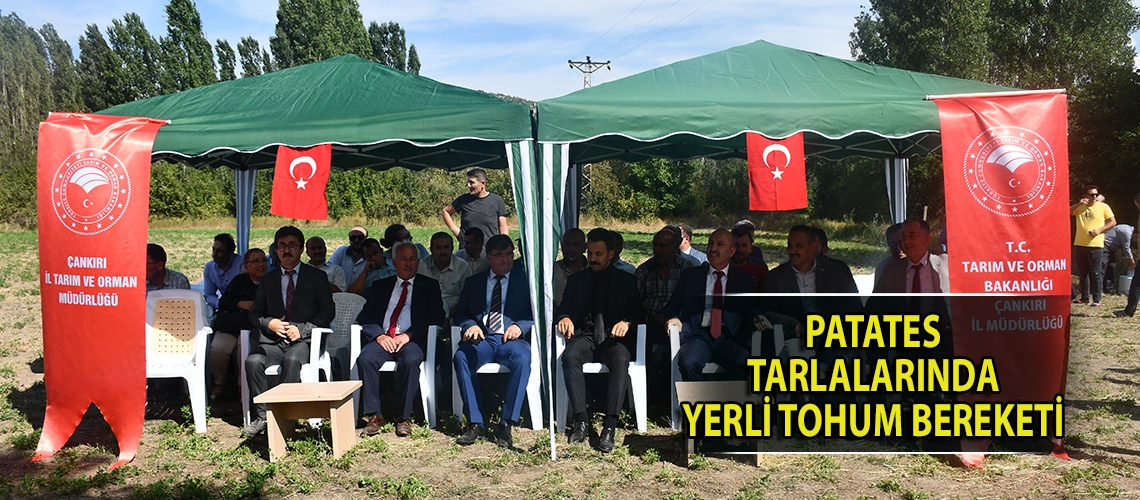 Patates tarlalarında yerli tohum bereketi