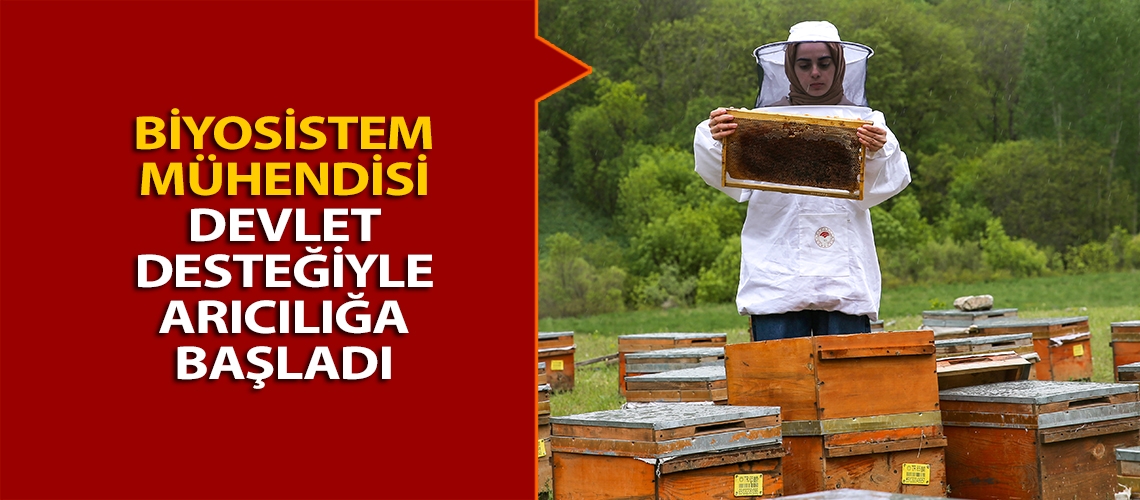 Biyosistem Mühendisi devlet desteğiyle arıcılığa başladı