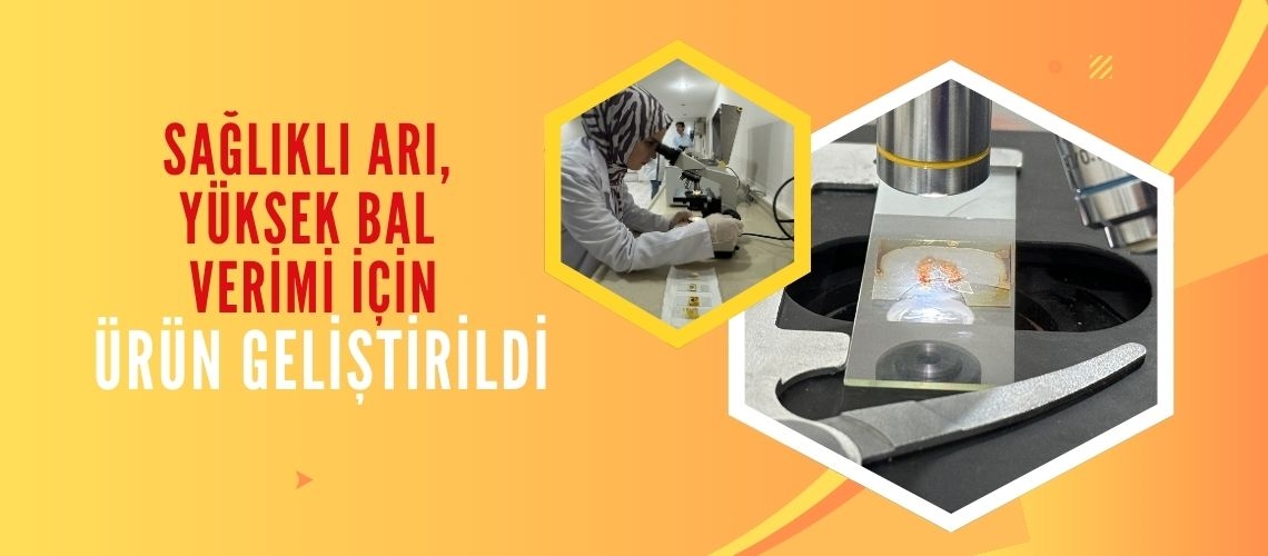 Sağlıklı arı, yüksek bal verimi için ürün geliştirildi