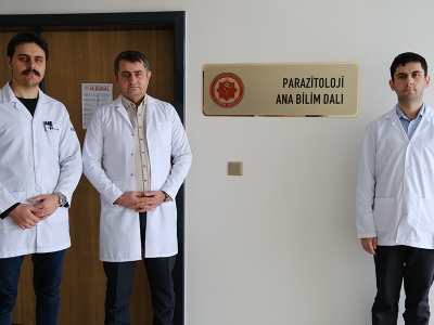 Sivas'ta kurulan laboratuvar ile arılar artık daha sağlıklı