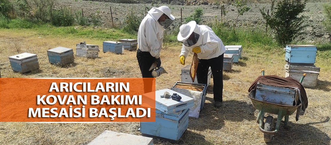 Arıcıların kovan bakımı mesaisi başladı