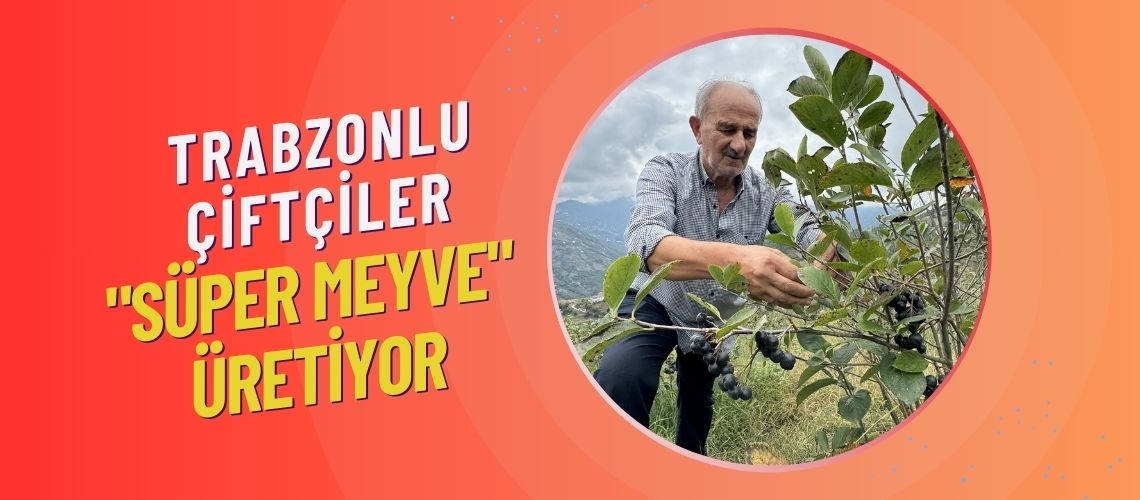 Trabzonlu çiftçiler 