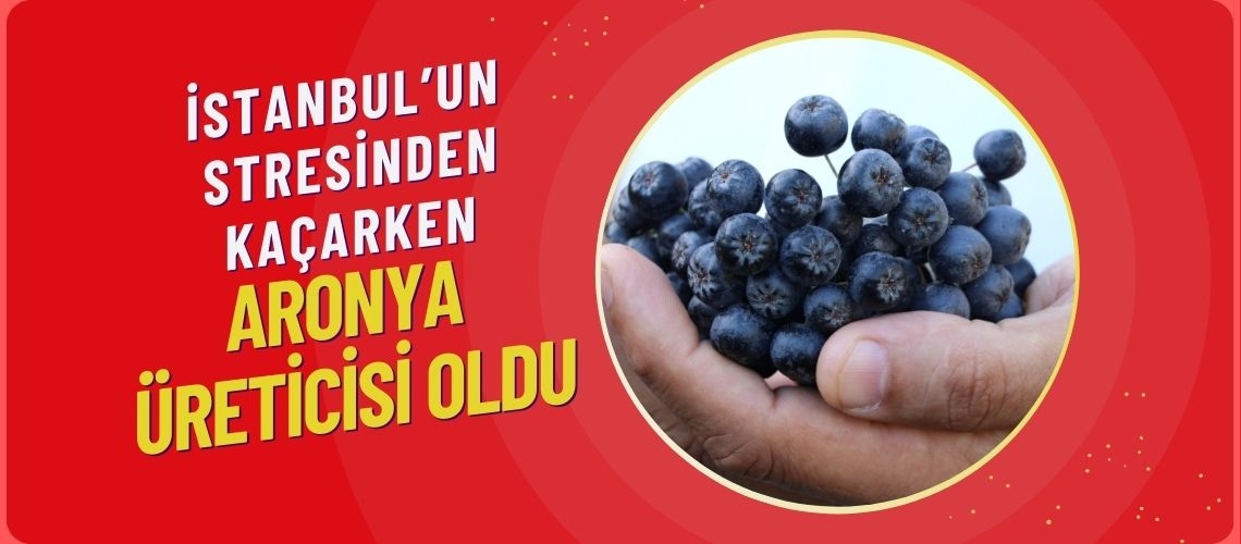 İstanbul’un stresinden kaçarken aronya üreticisi oldu