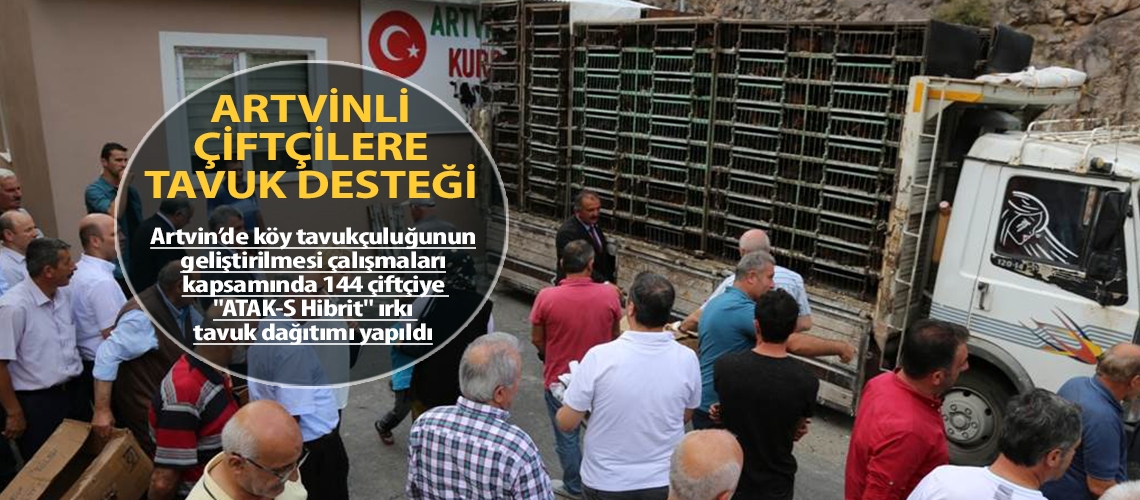 Artvinli çiftçilere tavuk desteği