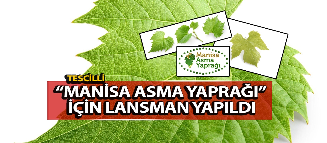 Tescilli  “Manisa Asma Yaprağı” için lansman yapıldı