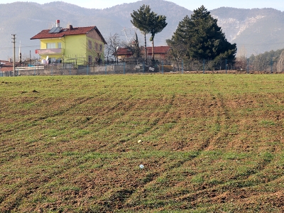 Atıl arazilerde üretime hibe desteği