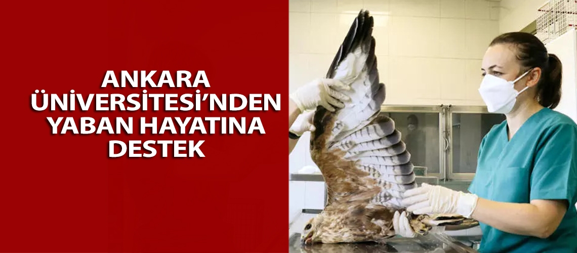 Ankara Üniversitesi’nden yaban hayatına destek