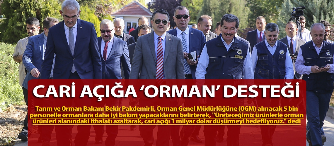 Cari açığa ‘orman’ desteği