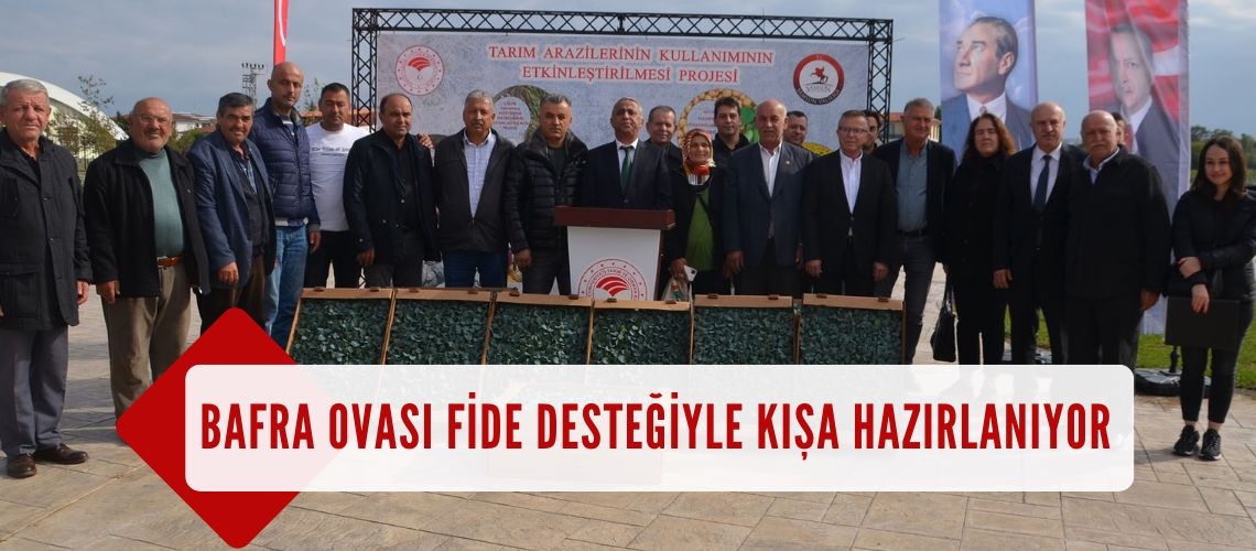 Bafra Ovası fide desteğiyle kışa hazırlanıyor