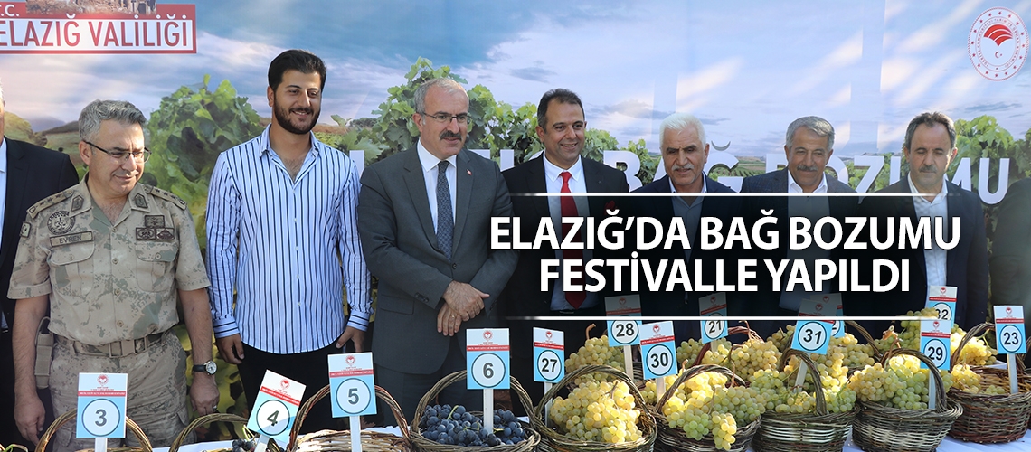 Elazığ’da bağ bozumu festivalle yapıldı