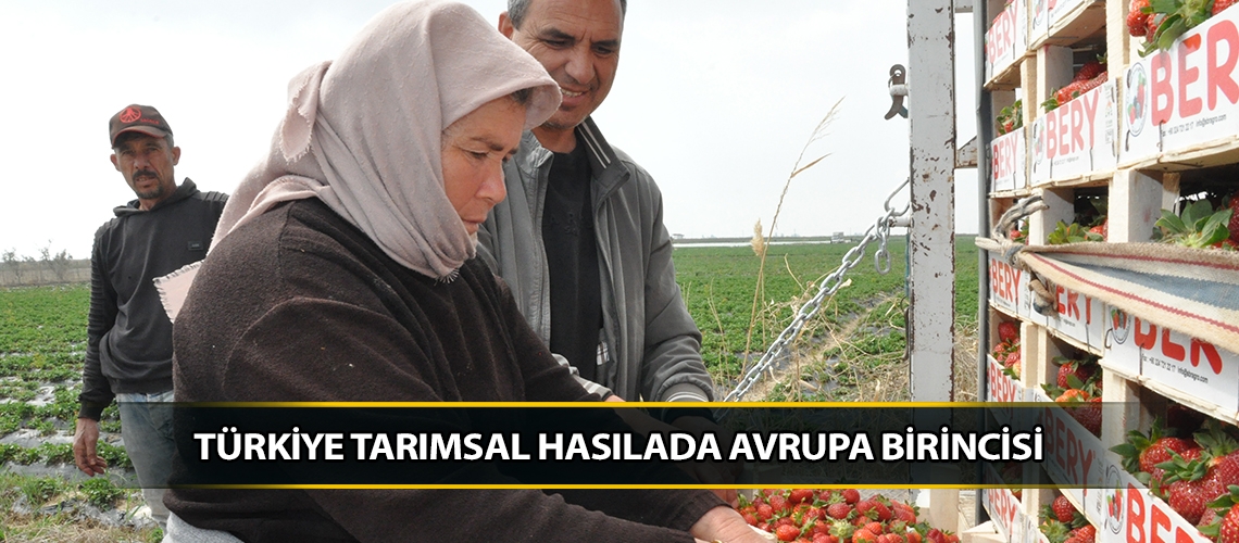 Türkiye tarımsal hasılada Avrupa birincisi